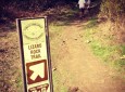 Lizard Rock – Wildwood Park