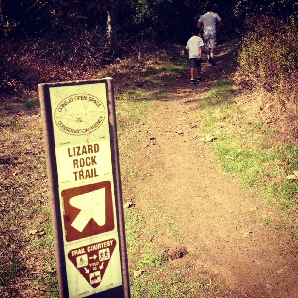 Lizard Rock – Wildwood Park