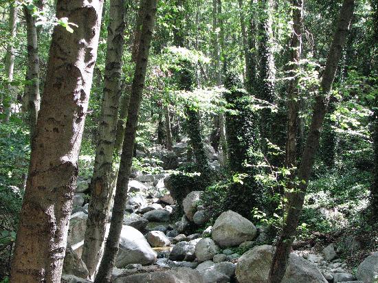 Monrovia Falls