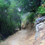 Newton Canyon Backbone Trail