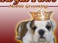 Royal Paws Mobile Dog Grooming