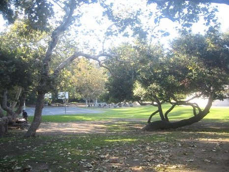 Rustic Canyon Park