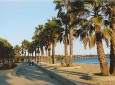 Promenade Park & Ventura Pier