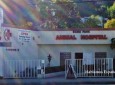 Echo Park Animal Hospital