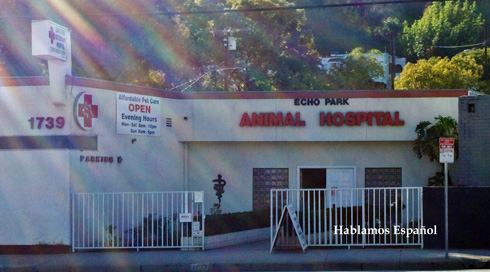 Echo Park Animal Hospital