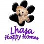 Lhasa Happy Homes Rescue