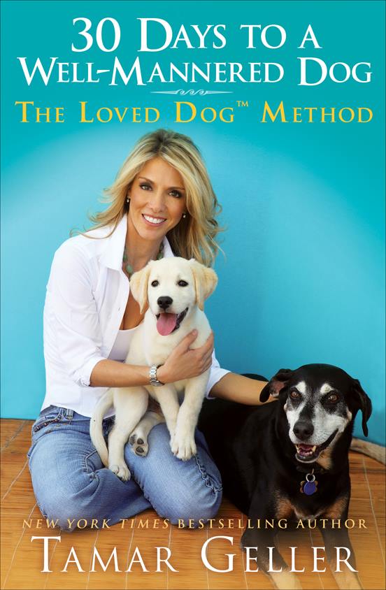 The Loved Dog