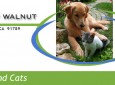 Animal Hospital of Walnut