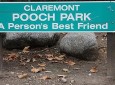 Claremont Pooch Park