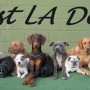 West LA Dogs