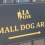 L.A. Live Dog Park