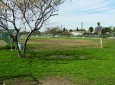 Whitnall Off-Leash Dog Park