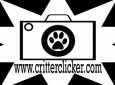 The Critterclicker