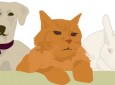 Eastside Petsitters