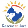 Rescue from the Hart