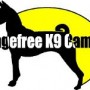 Cagefree K-9 Camp