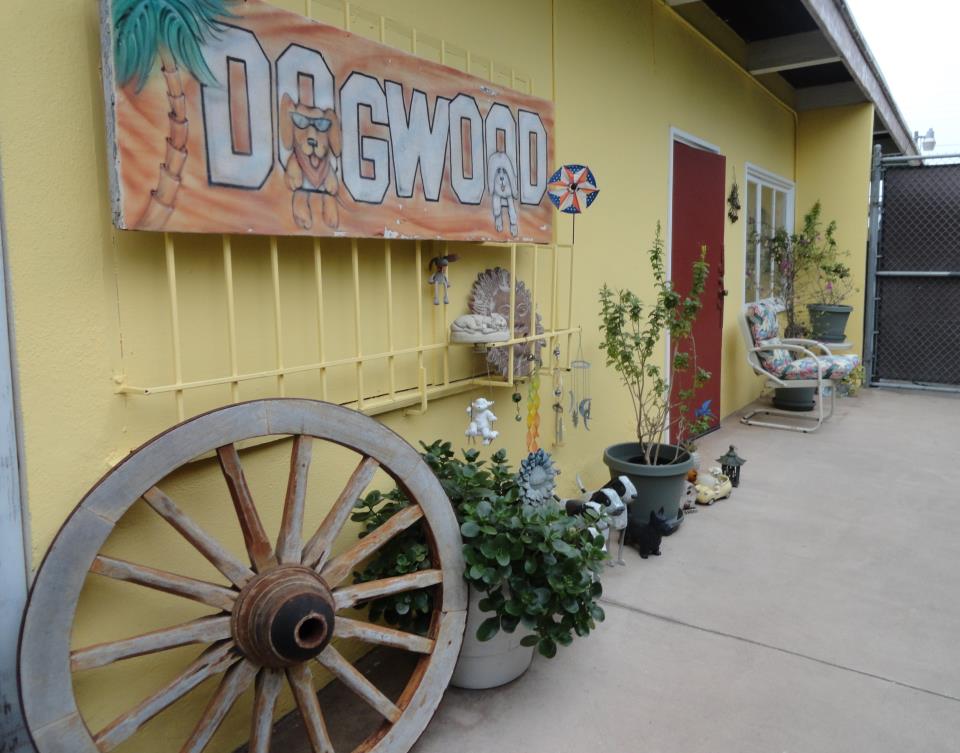 Dogwood Daycare & Boarding