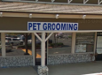 Chino Hills Pet Grooming