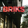 The Briks