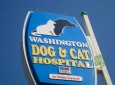 Washington Dog & Cat Hospital