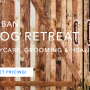 DEN Urban Dog Retreat