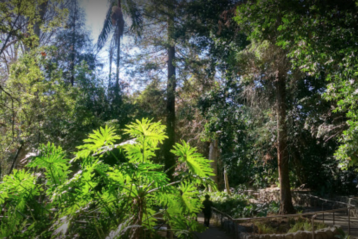 Fern Dell Nature Museum