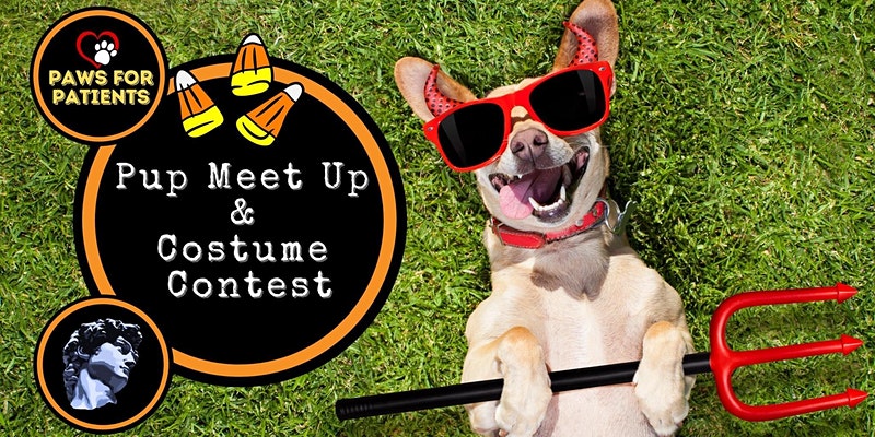 Hollywood Dog Meet Up & Costume Contest