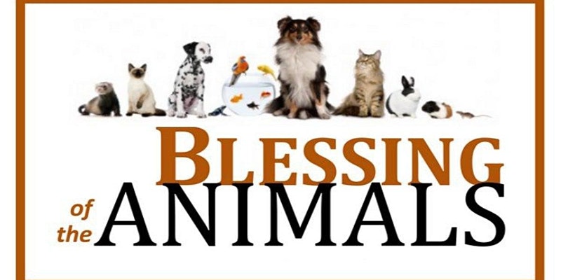Blessing of the Pets
