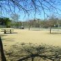 Griffith Park Dog Park