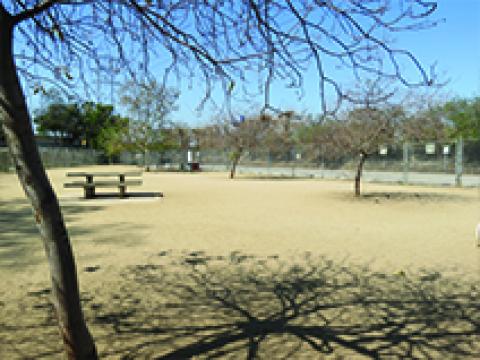 Griffith Park Dog Park
