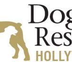 Dog Resort – Hollywood
