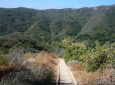 Murphy Ranch Trail