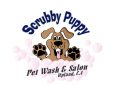 Scrubby Puppy