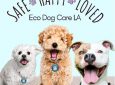 Eco Dog Care LA