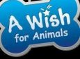A Wish for Animals