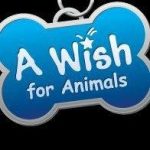 A Wish for Animals