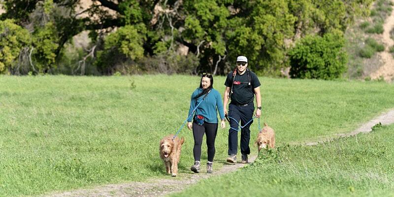 Hike & Hounds – Los Angeles