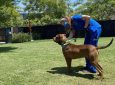 Mutt Manners: Beginner Dog Training