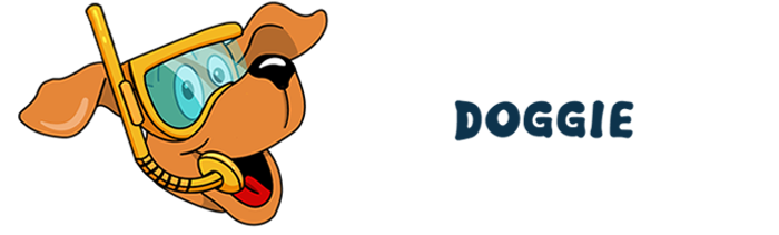 South Park Doggie Waterland LAX