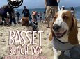 Basset Beach Day
