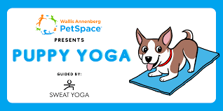 Puppy Yoga at Annenberg PetSpace