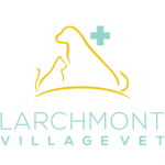 Larchmont Village Vet