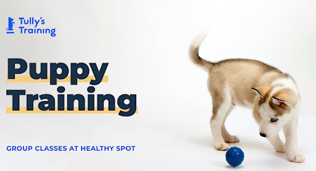 Puppy Training @ Beverly Grove | Wednesdays Fall 2022