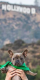 Beagles Sunday Funday! – Santa Monica Airport Dog Park
