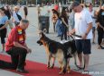Interfaith Blessing of the Animals