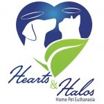 Hearts & Halos by Choice Vet