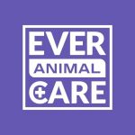 Ever Animal Care