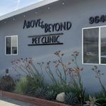 Above & Beyond Pet Clinic