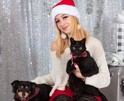 Holiday Pet Photos