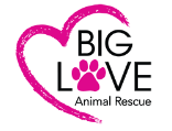 Big Love Animal Rescue